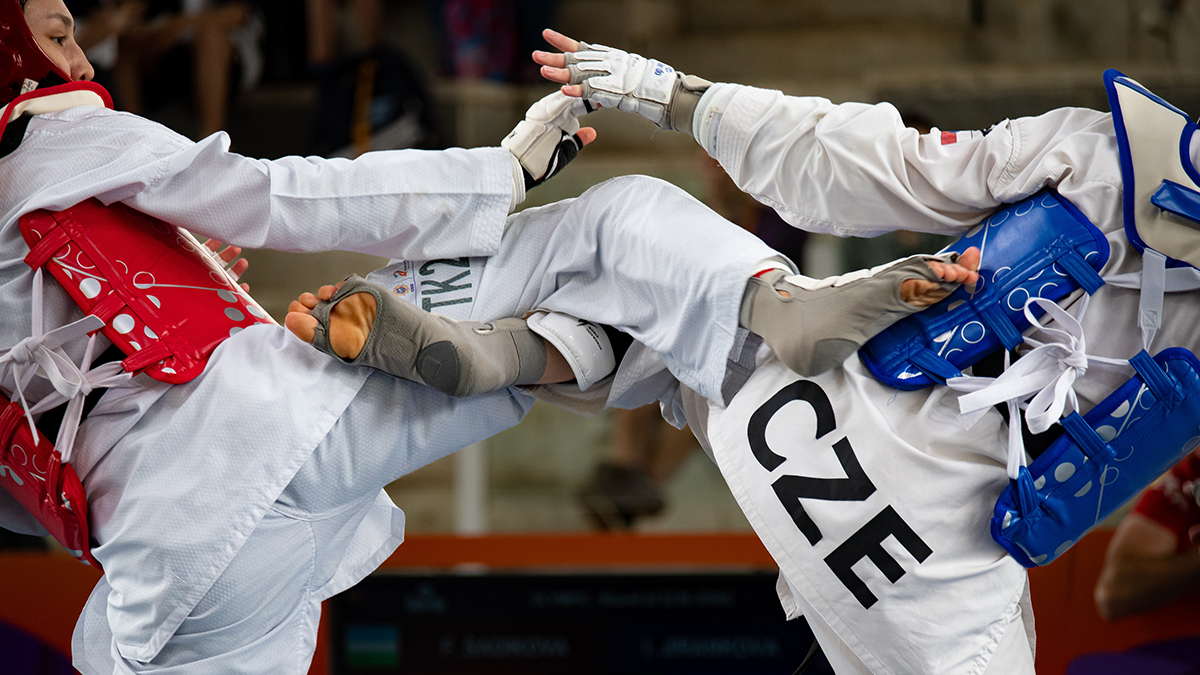 Taekwondo World Championship