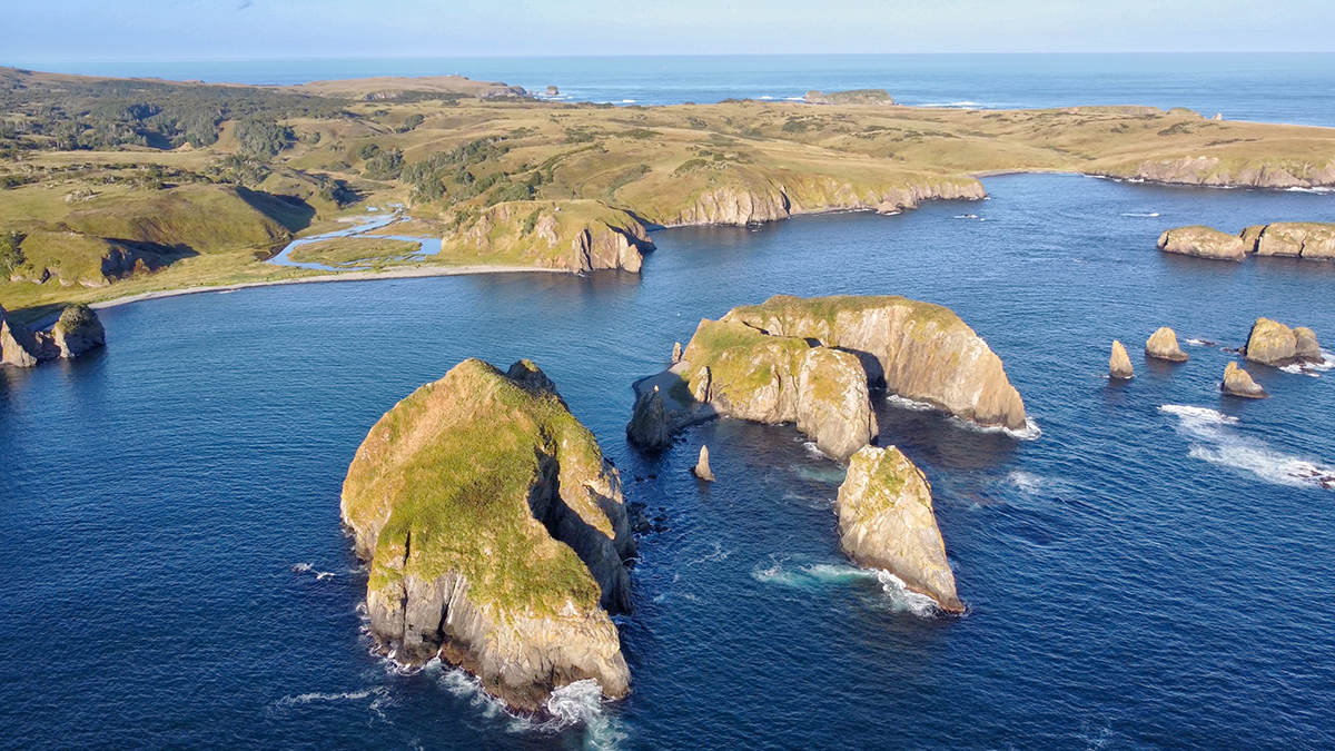 «Надеются, что дрогнем»: почему РФ не пойдет на мирные переговоры с Японией