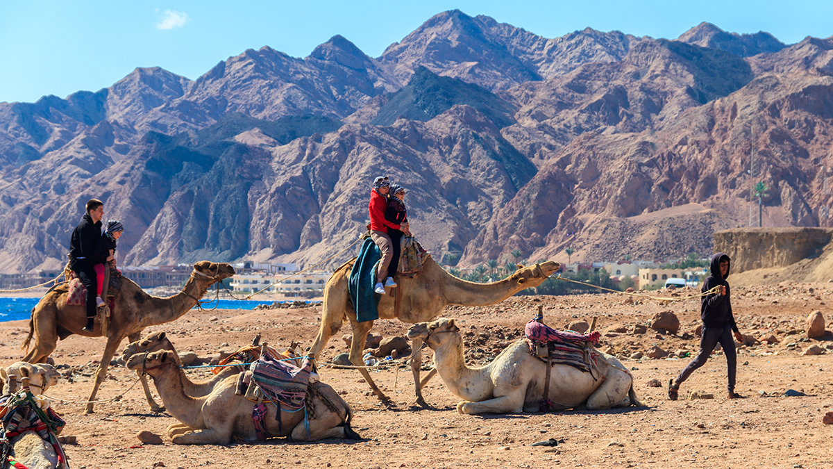 Эксперт Корендясов оценил перспективы сотрудничества между Россией и Африкой