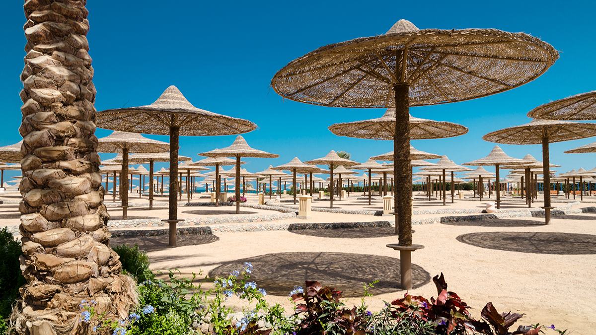 СМИ: Пара британских туристов отравилась химикатами от клопов в отеле Египта