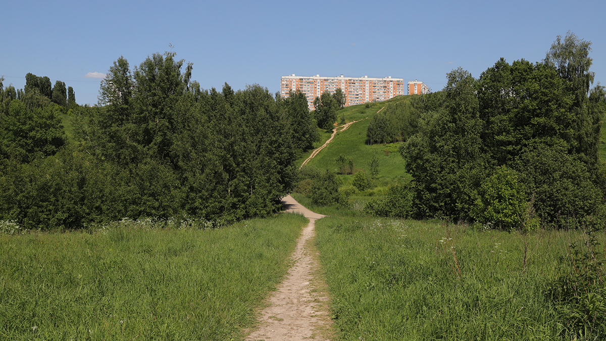 Ученые из Испании и США выяснили, что жизнь рядом с природой омолаживает людей на 2,5 года