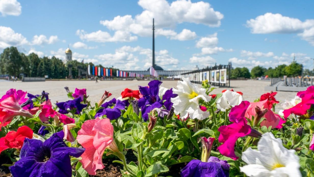 Более 35 миллионов однолетников украсили столичные цветники 