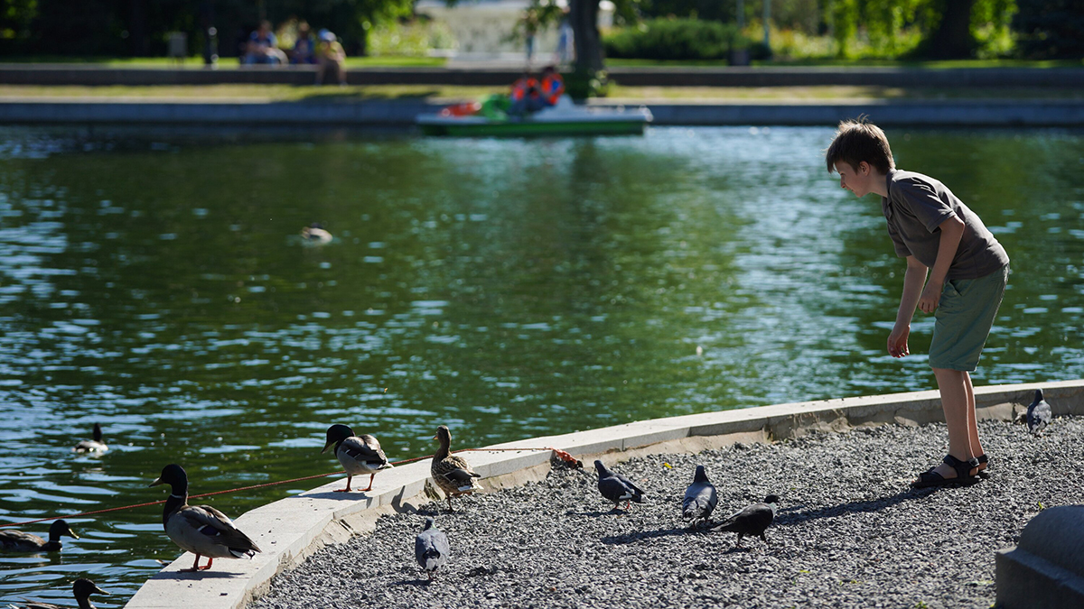 Какой будет погода в Москве в июле 2023 года