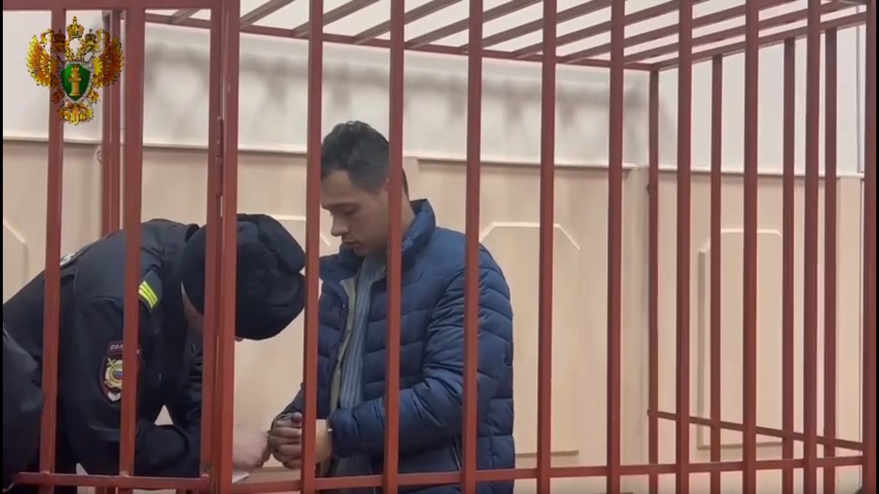 Мужчина, избивший старушку в центре Москвы, предстанет перед судом