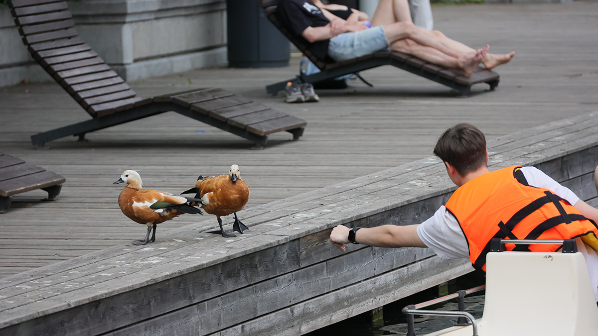 Суточный рекорд минимальной температуры обновлен в Подмосковье 21 июня