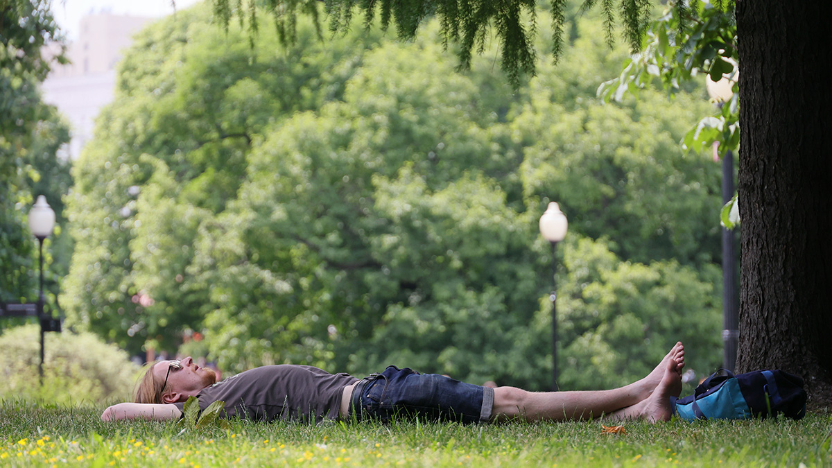 Переменная облачность и до 27 градусов тепла ожидают москвичей 15 июня