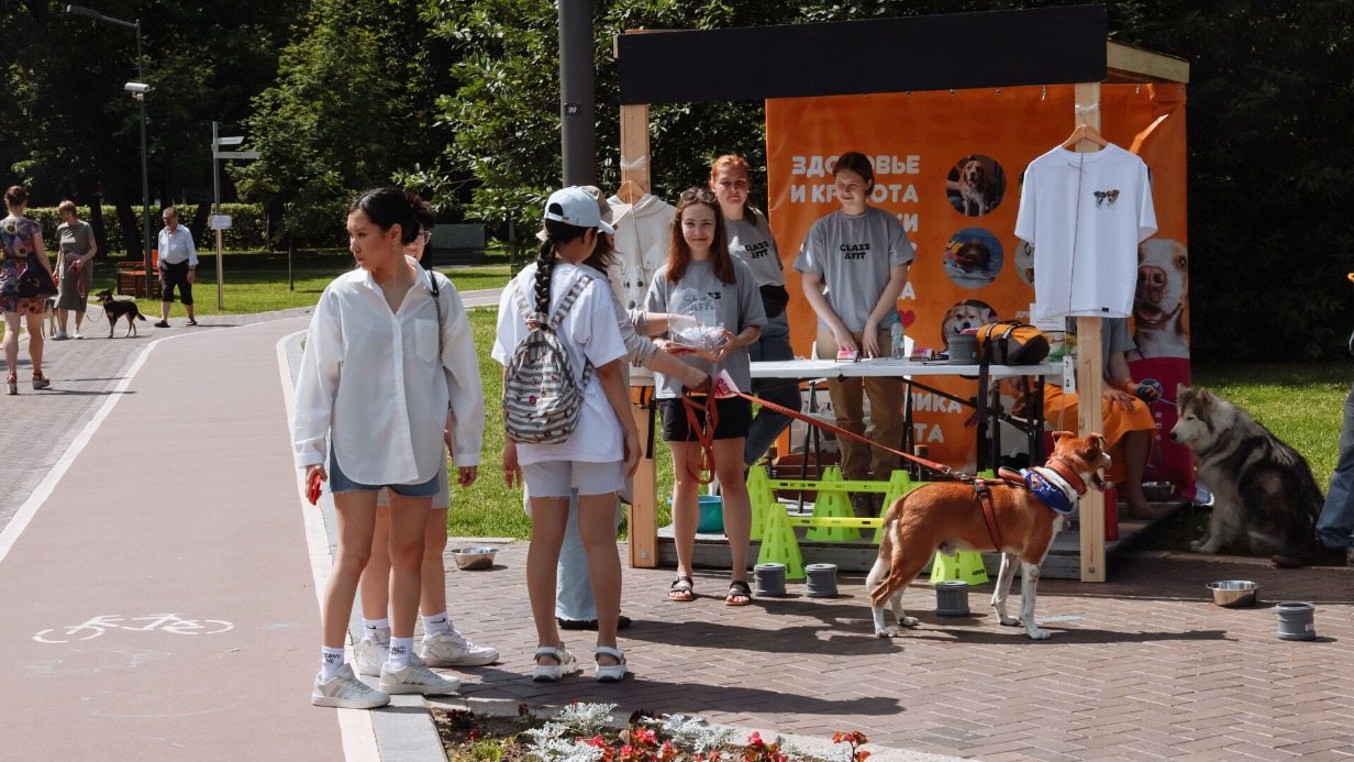 Сергунина анонсировала программу столичного фестиваля «Город неравнодушных»
