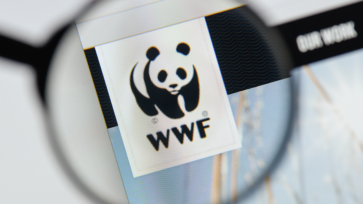 Генпрокуратура признала нежелательной деятельность WWF* в России