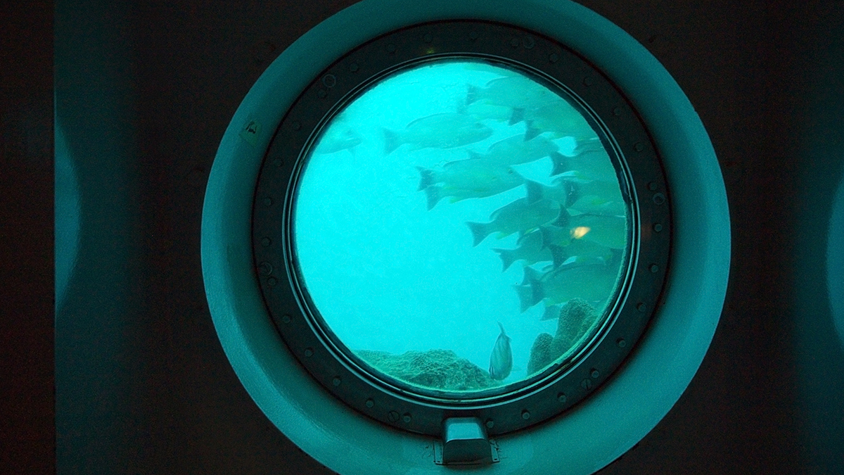 Океанолог Сагалевич оценил шансы на спасение экипажа пропавшего около «Титаника» батискафа