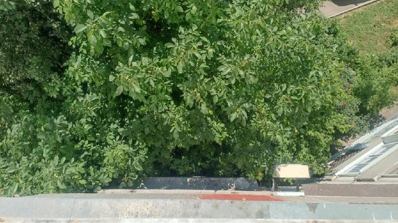 Малолетний ребенок выпал из окна шестого этажа на юге Москвы