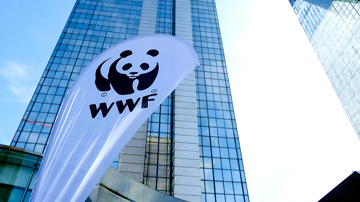 Минюст внес WWF* в перечень нежелательных организаций