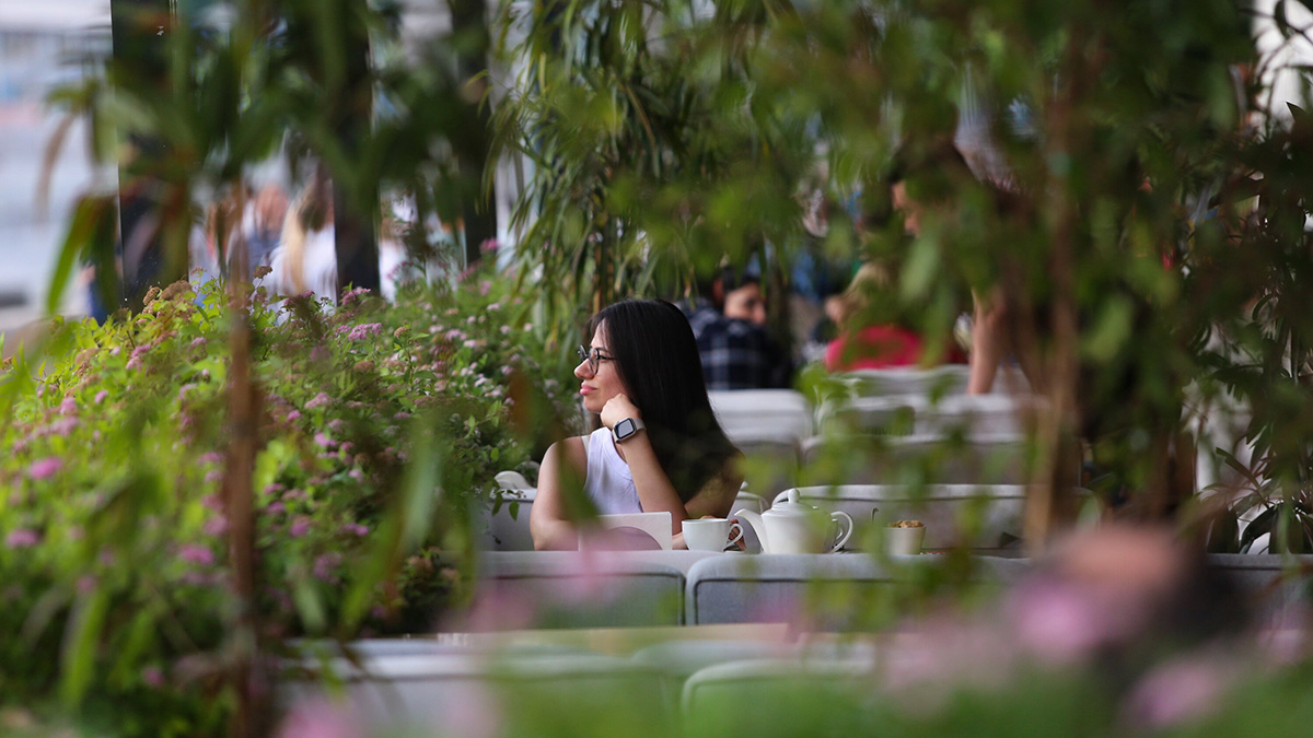 Предпринимателям расскажут о порядке и правилах размещения нестационарных торговых точек