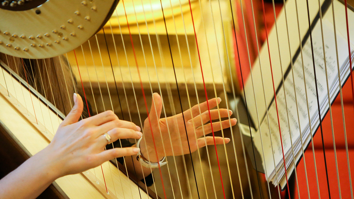 Куда сходить в Москве на выходных, 27 и 28 сентября