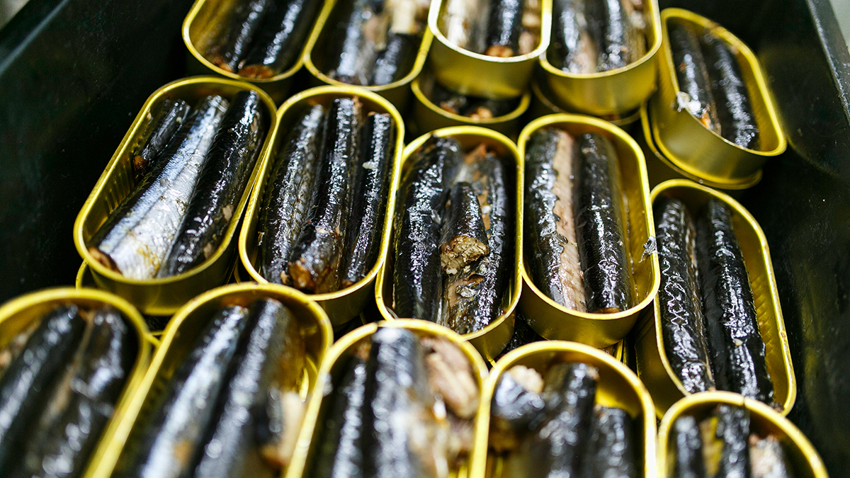 Сардина под прикрытием: как распознать фальсификат в рыбных консервах