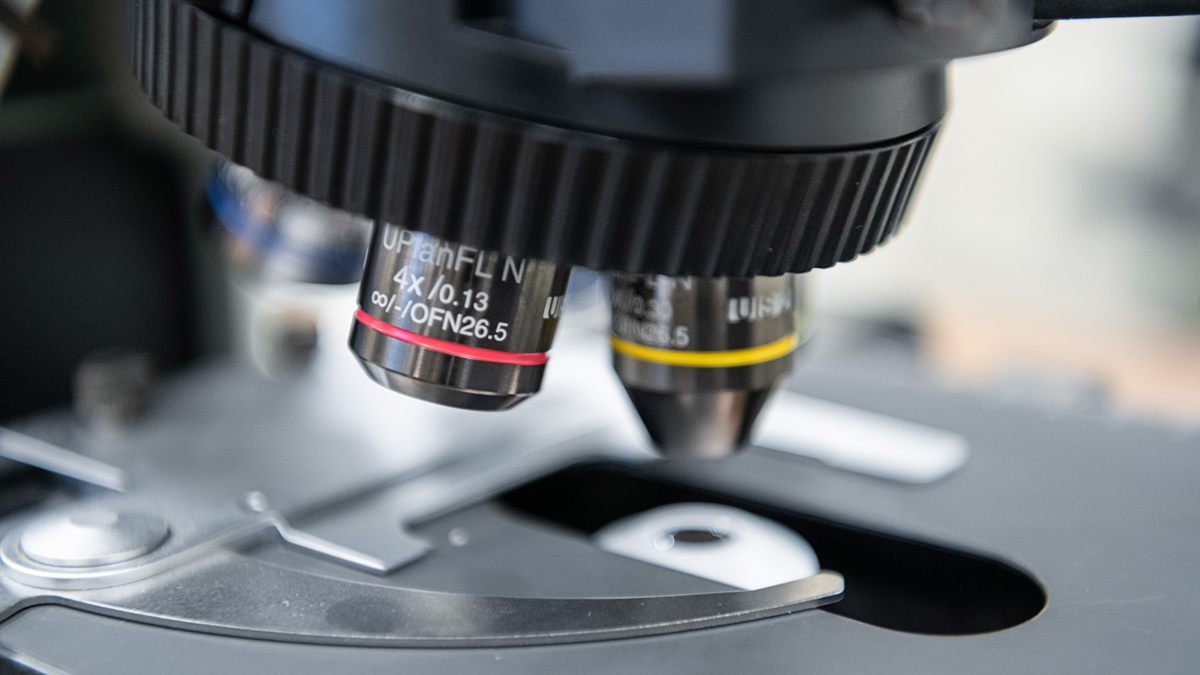 Онколог Пылев рассказал о вирусе, способствующем развитию рака