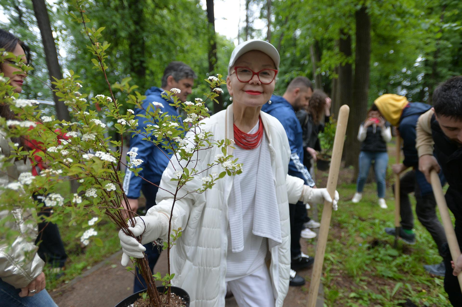 Актриса Нового театра, заслуженная артистка России Евдокия Германова с саженцем спиреи вангутты. Вместе с коллегами она высаживает кусты в парке в Люберцах