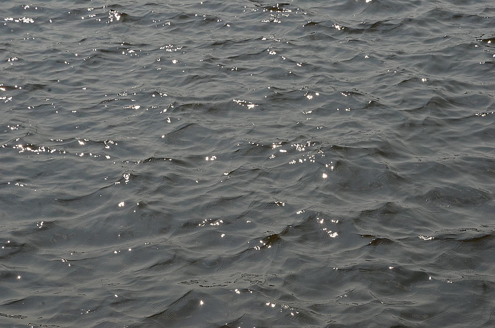 Эпидемиолог Гинцбург оценил вероятность эпидемии холеры после прорыва Каховской ГЭС