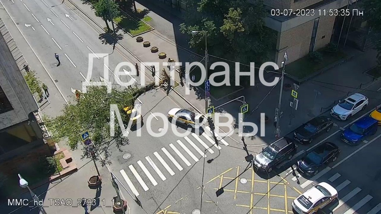 Движение по 2-й Брестской улице перекрыто из-за упавшего на дорогу дерева в центре Москвы