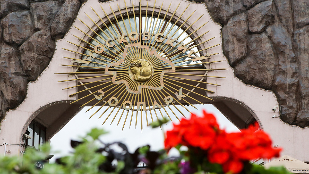 Московский зоопарк объявил об открытии в связи с улучшением погоды