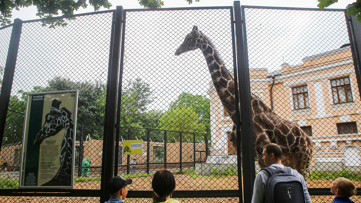 Собянин: С начала года Московский зоопарк спас около 100 животных