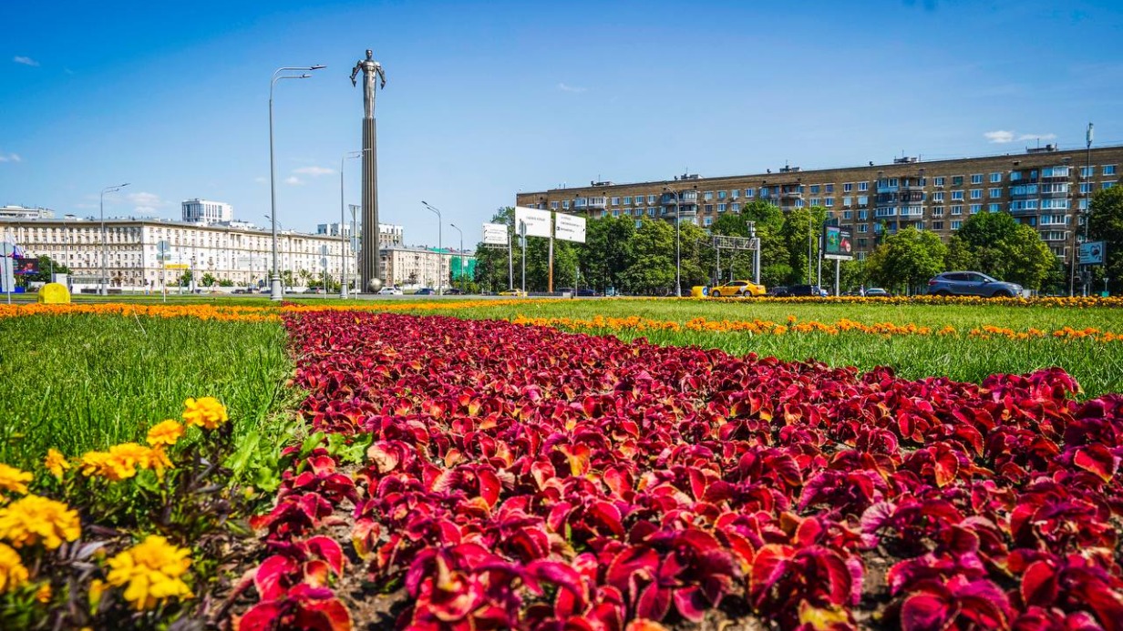 Тематические цветники украсили Москву в честь Года педагога и наставника