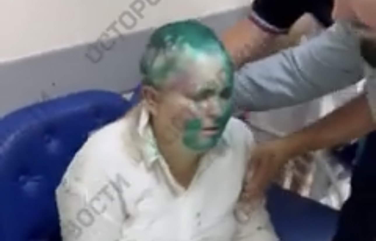 Минцифры поддержало журналистку Милашину и адвоката Немова после нападения в Чечне