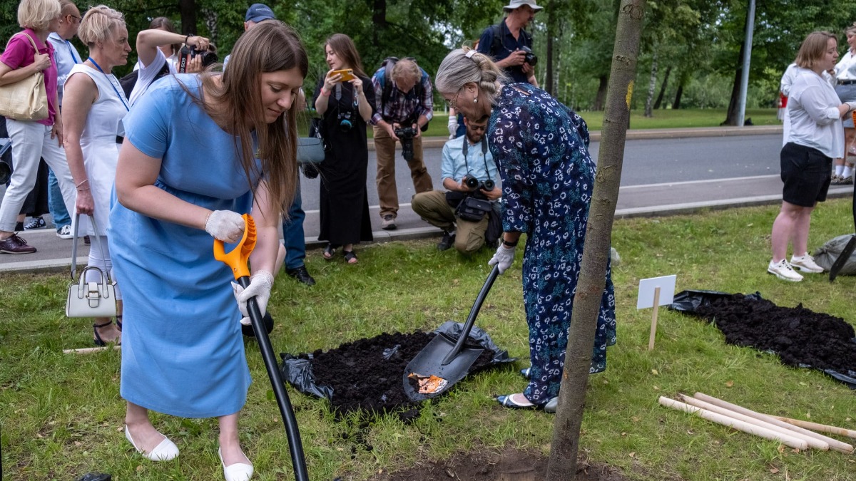 Сад памяти акция рисунки