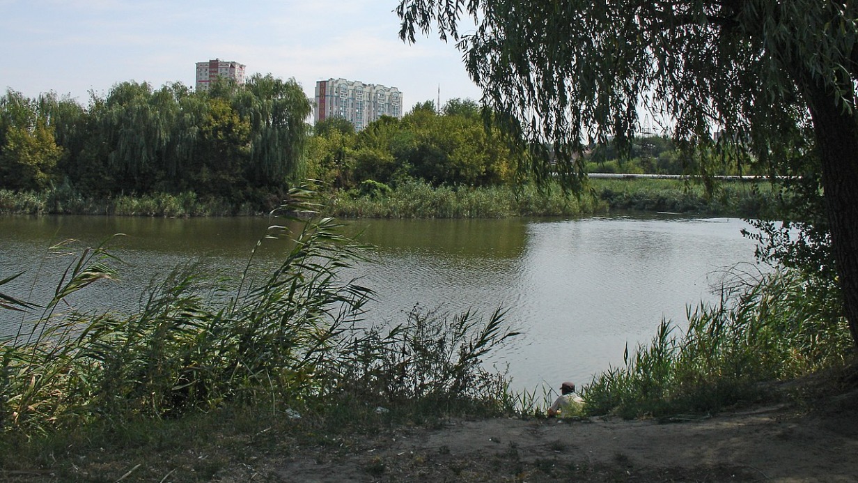 Холероподобная микрофлора обнаружена в реке в Ростове-на-Дону