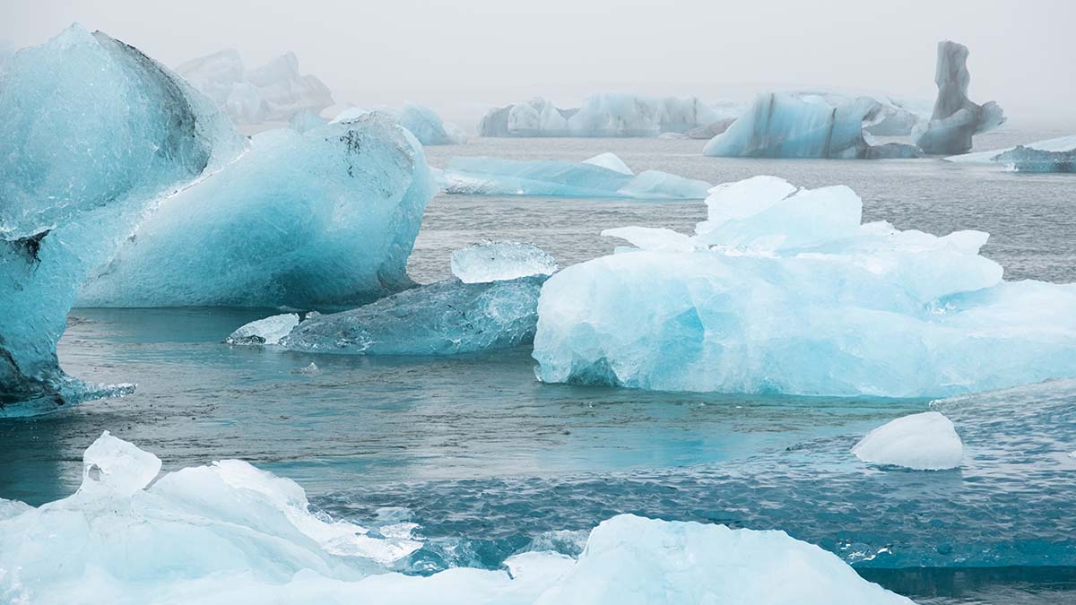 Льдина с 26 рыбаками оторвалась на Оке и уплыла, один человек провалился в воду