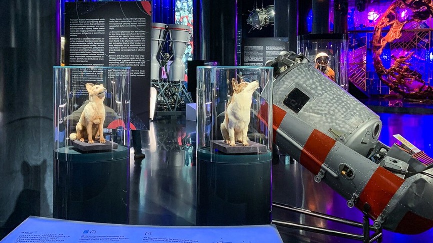 Сергунина: Участники «Активного гражданина» определят популярные места для летнего отдыха в столице