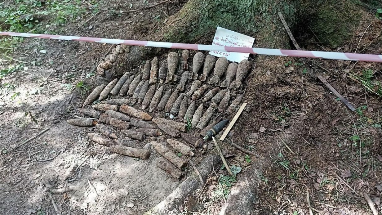 Добровольцы нашли 70 снарядов времен Великой Отечественной войны у деревни в Подмосковье