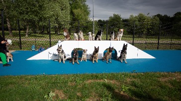 Первая благоустроенная площадка проекта «Питомцы в Москве» появилась в Лосиноостровском районе