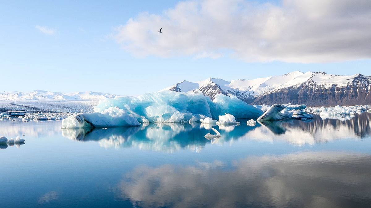 Daily Mail: Офицер стал жертвой каннибализма на борту экспедиции Франклина