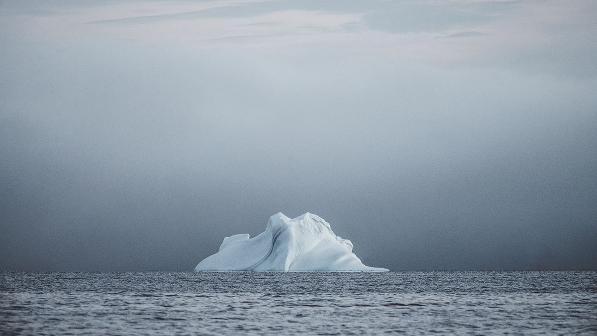 Крупнейший в мире айсберг А23а разом потерял площадь размером в четыре Байкала