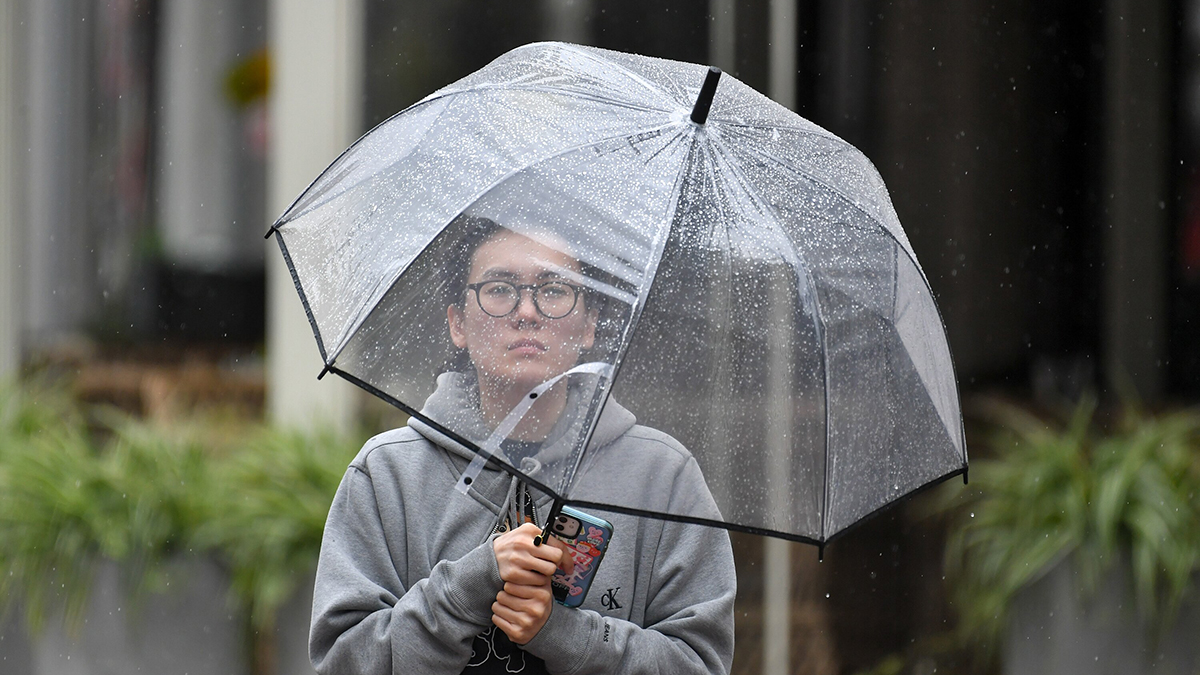 Синоптик Вильфанд: Погода на этой неделе напомнит москвичам о приближении осени