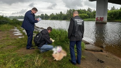 Жительница Ярославля утопила в реке десятимесячную дочь