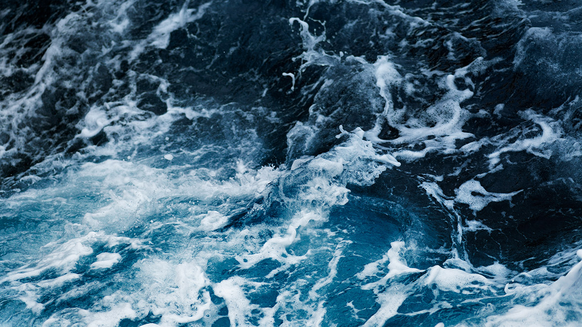 Спасенный у берегов Мексики австралиец три месяца дрейфовал с собакой в Тихом океане