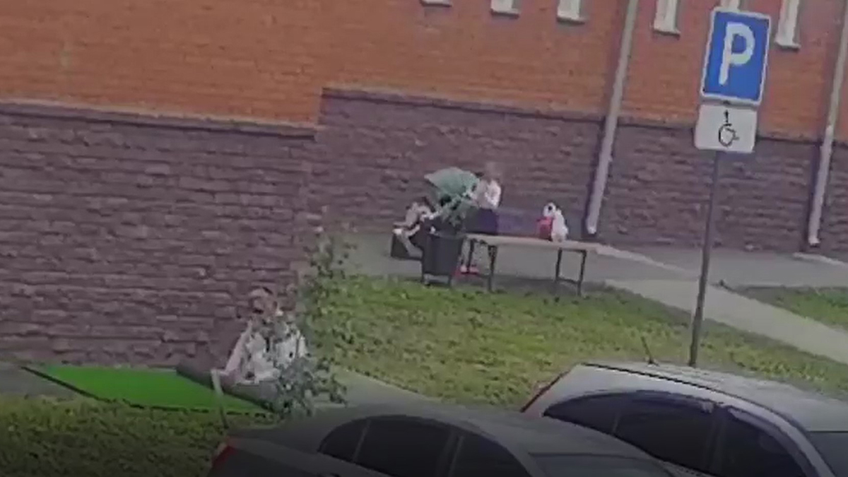 Жительница Омска украла рулон искусственного газона, но вернула его после «популярности» в Сети