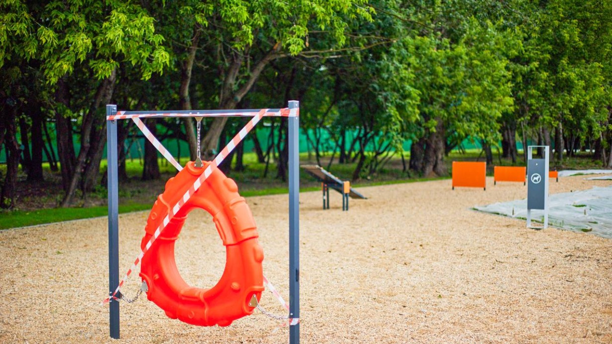 Новые пешеходные маршруты и площадки для выгула собак появятся в районе Ивановское