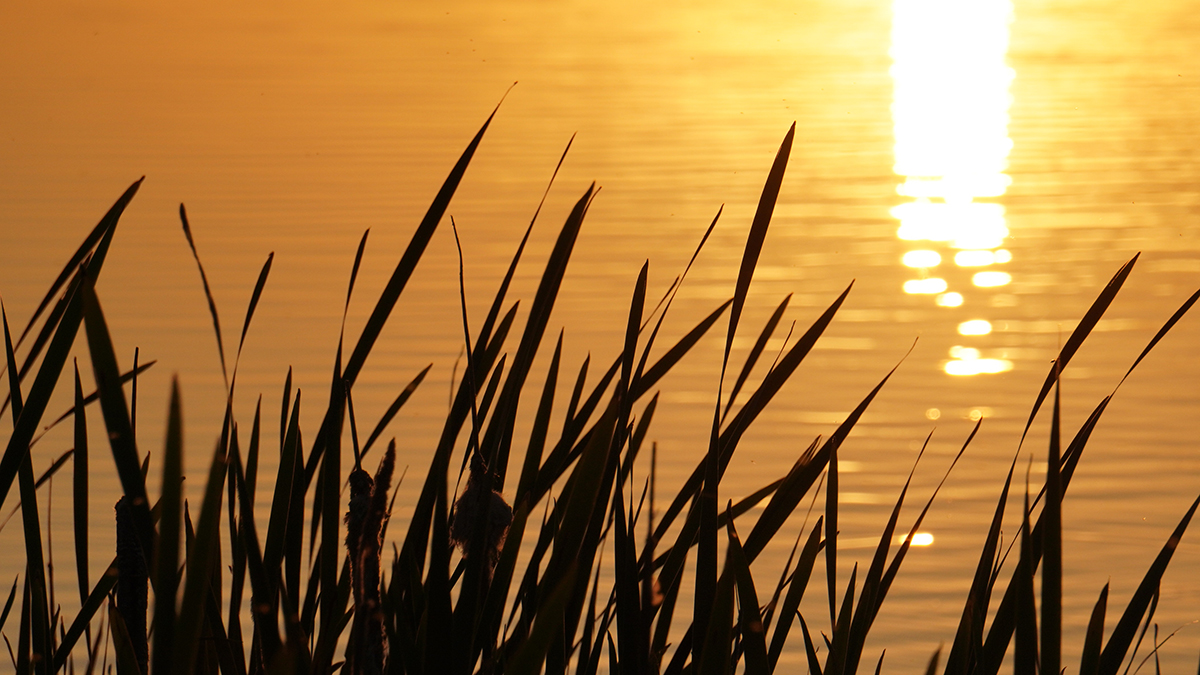 Туристов в Италии оштрафовали на 10 тысяч евро за секс на берегу озера