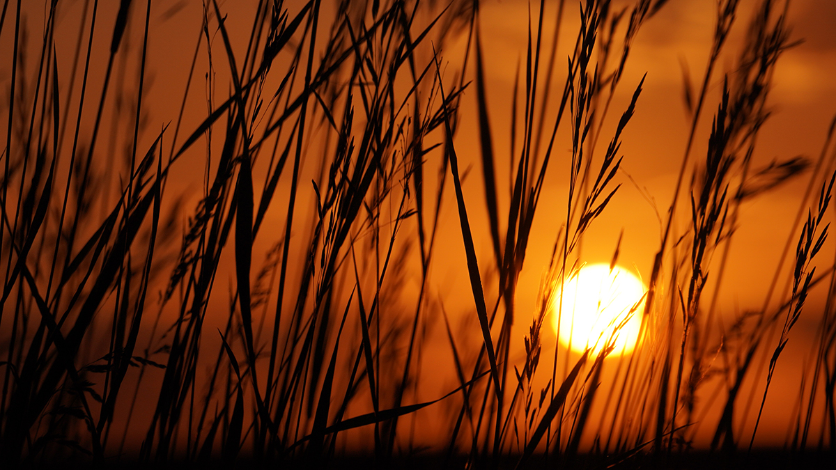 Синоптик Вильфанд объяснил происхождение красивых закатов в Москве