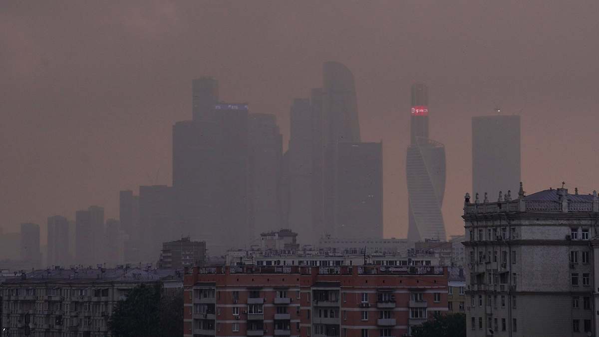 Более 15 гектаров земли арендовали предприниматели в Москве с 2018 года