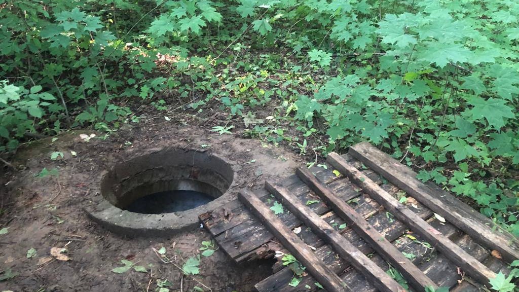 Тело 11-летнего мальчика с ножевыми ранениями нашли в московском парке