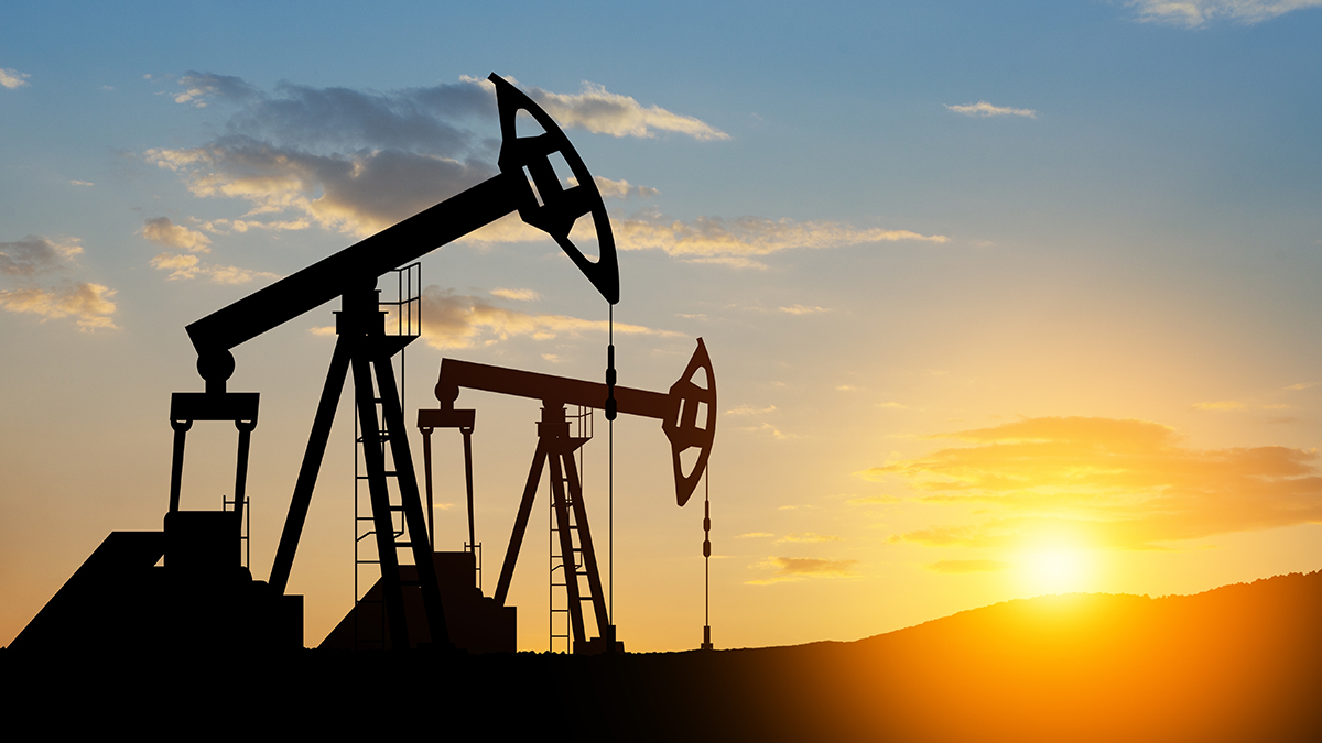 Госкомпании Индии намерены заключить долгосрочный контракт с РФ на покупку нефти