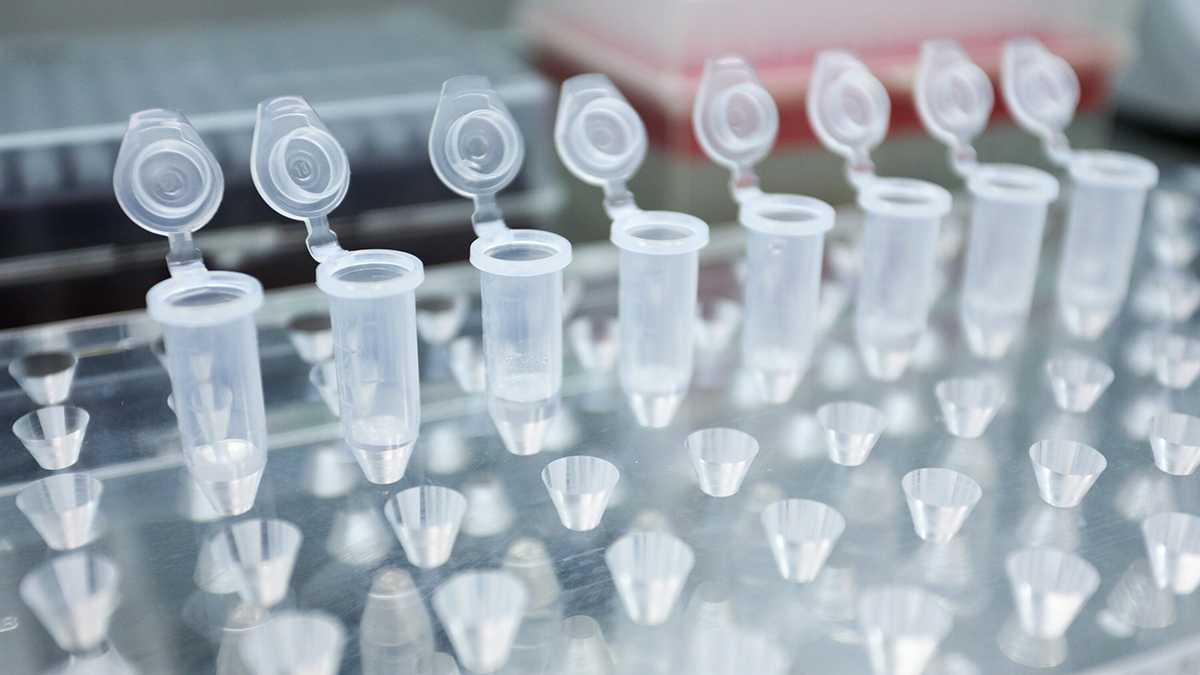 Подполье: В распределительном центре ВСУ оказались ВИЧ-инфицированные