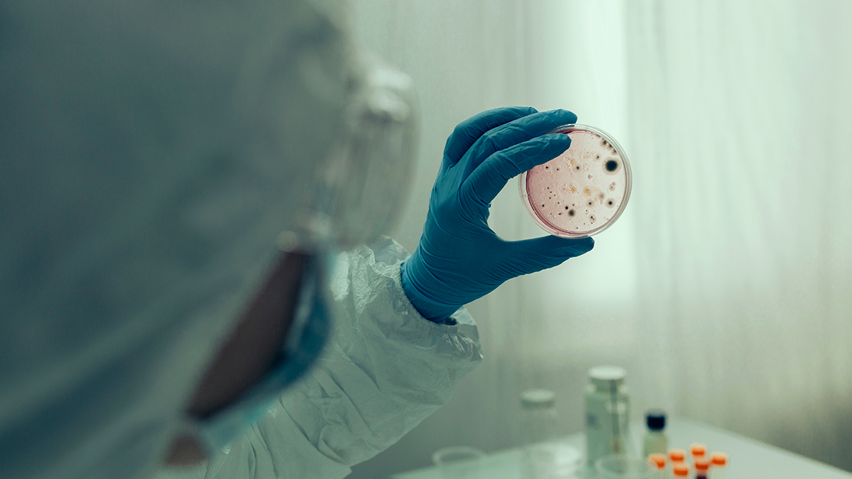 Каких инфекций стоит бояться в 2025 году: советы врача