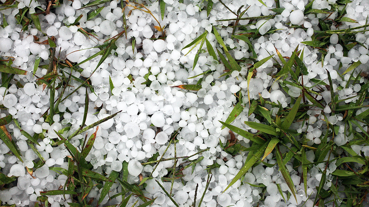 Мощный град размером с куриное яйцо обрушился на Новосибирск