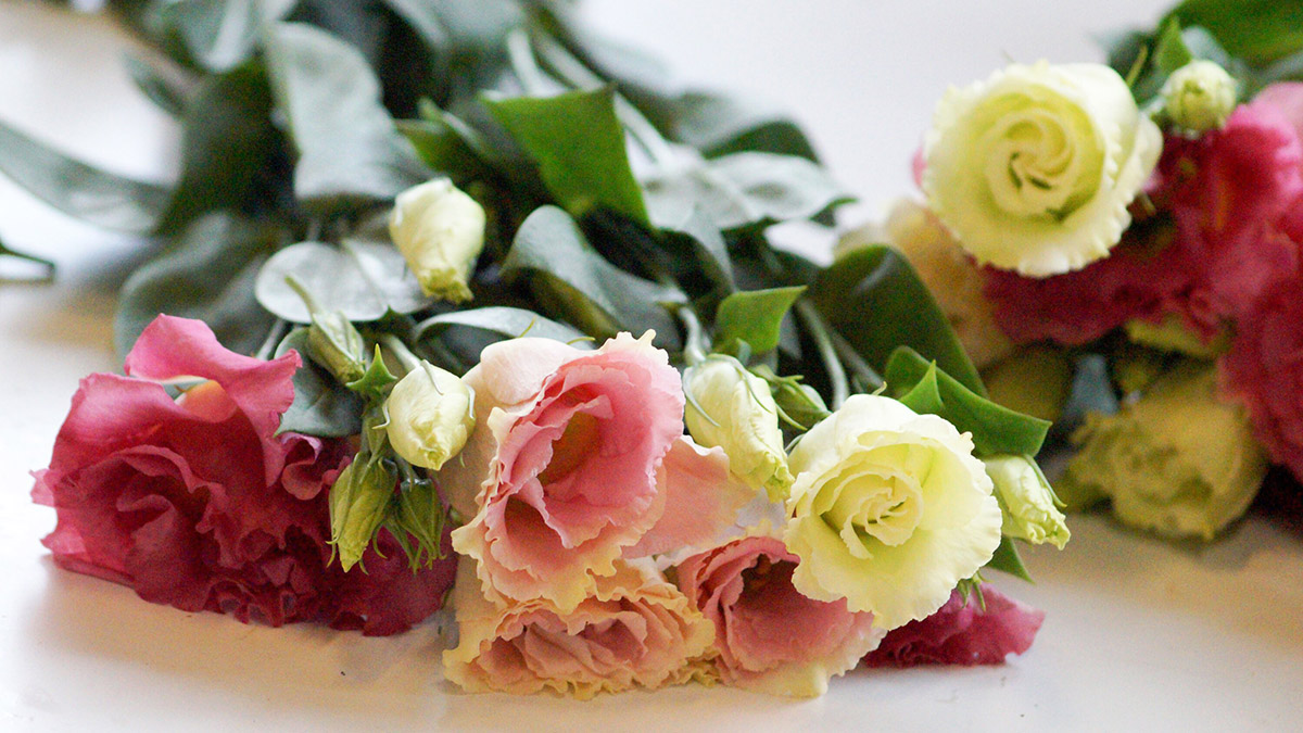 Что значит выбор цветка и цвет в букете