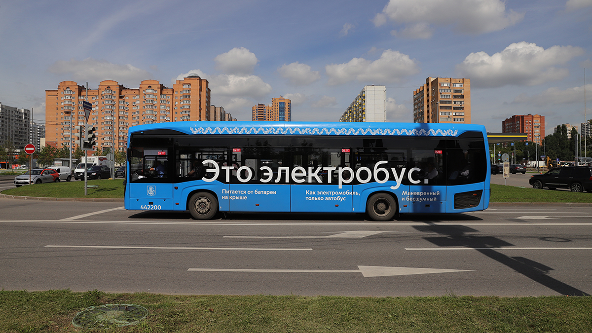 Новые выделенные полосы для городского транспорта открыли в столице