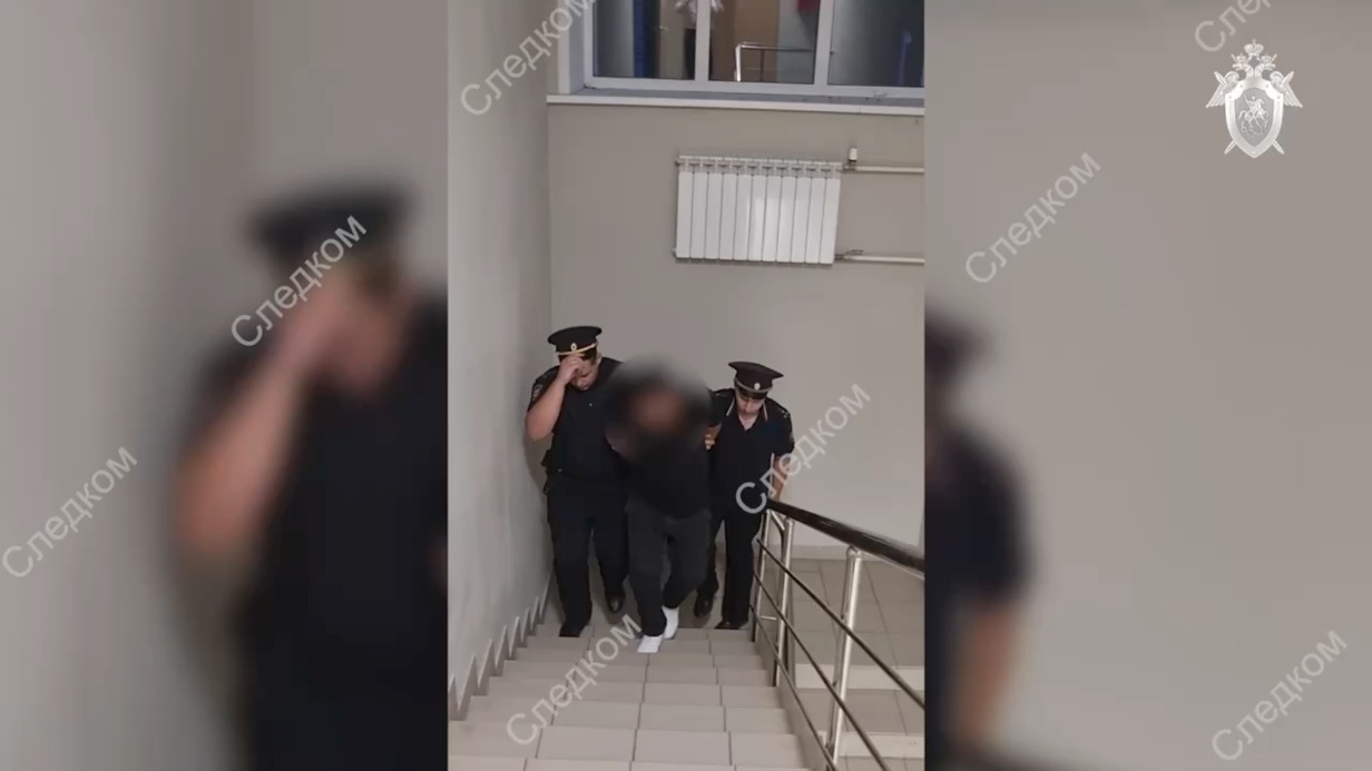 В Подмосковье мигрант попытался подкупить полицейского и стал фигурантом уголовного дела